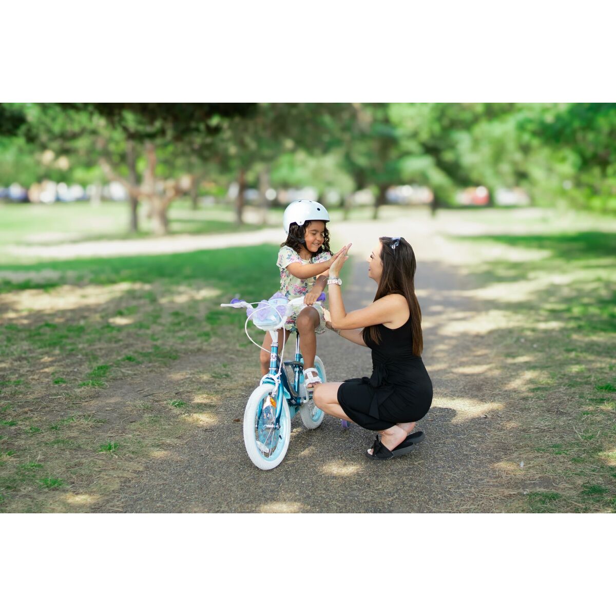 V4H262E220D871CAEACA3C99EEF9B9D34BAR6103361P4