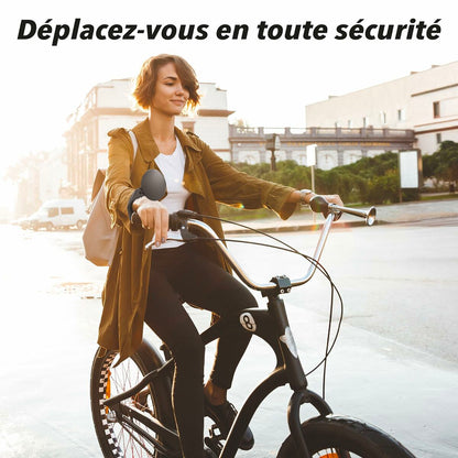 V3HC31CC0D2D51C3BA8961E24875ED9E539R7137316P6