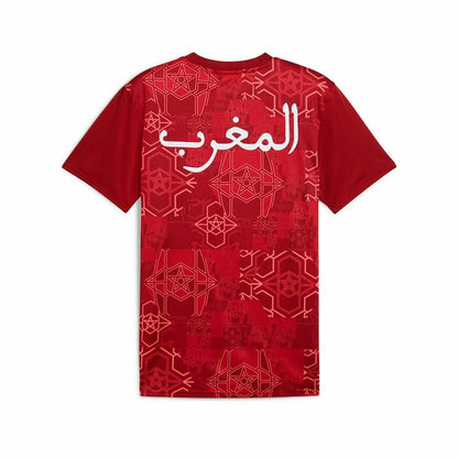 V5H53D87BE03AE98B323ACA5F9647C54017R6640029P2