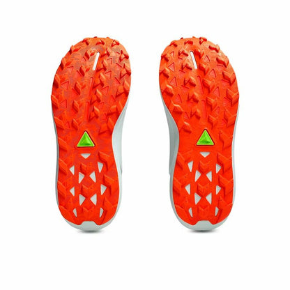 V2H19B0B616FB7635DC0351C85782F65033R5791848P3