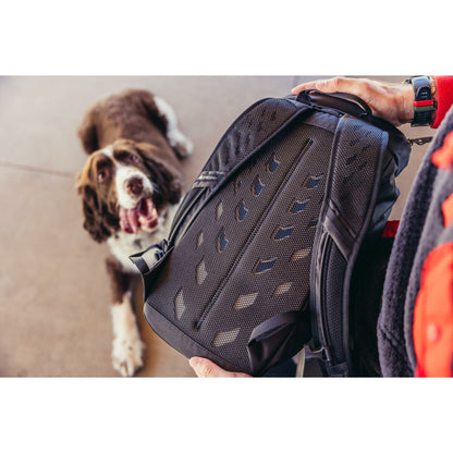 V6HF56374FA54F6460E6ED74654E4E9DFA0R6420759P4