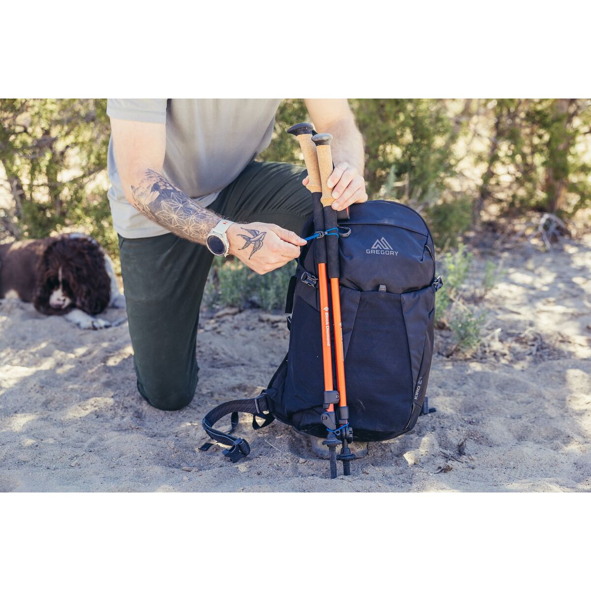 V6H66A035182D5F0D1934726E38E39737D5R6420043P8