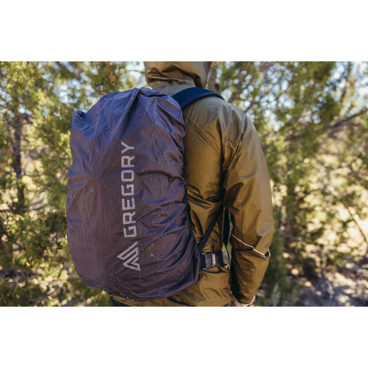 V6H5B9FE4CBEDF36FC5EAF76858512A5E40R6420051P10