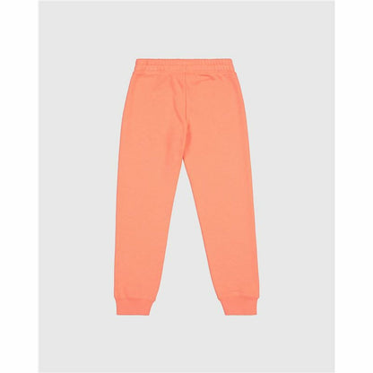 V5HB07EEF24D1C8685C34E870B7D427BD25R5488628P2