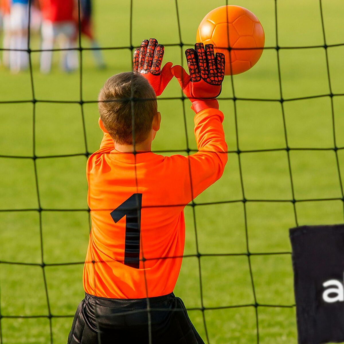 V3H80D2DF226700B2D23677255D58E4136AR7245269P7