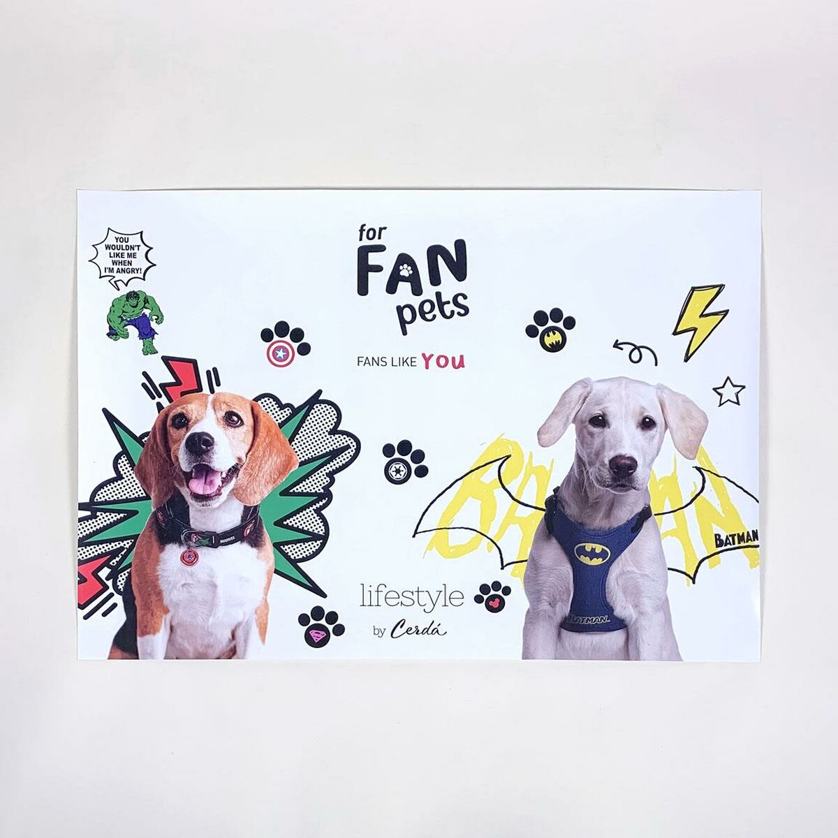 V5H5F3B3EB13A55128F2B5F5FA0E2EFFD70R4966649P3