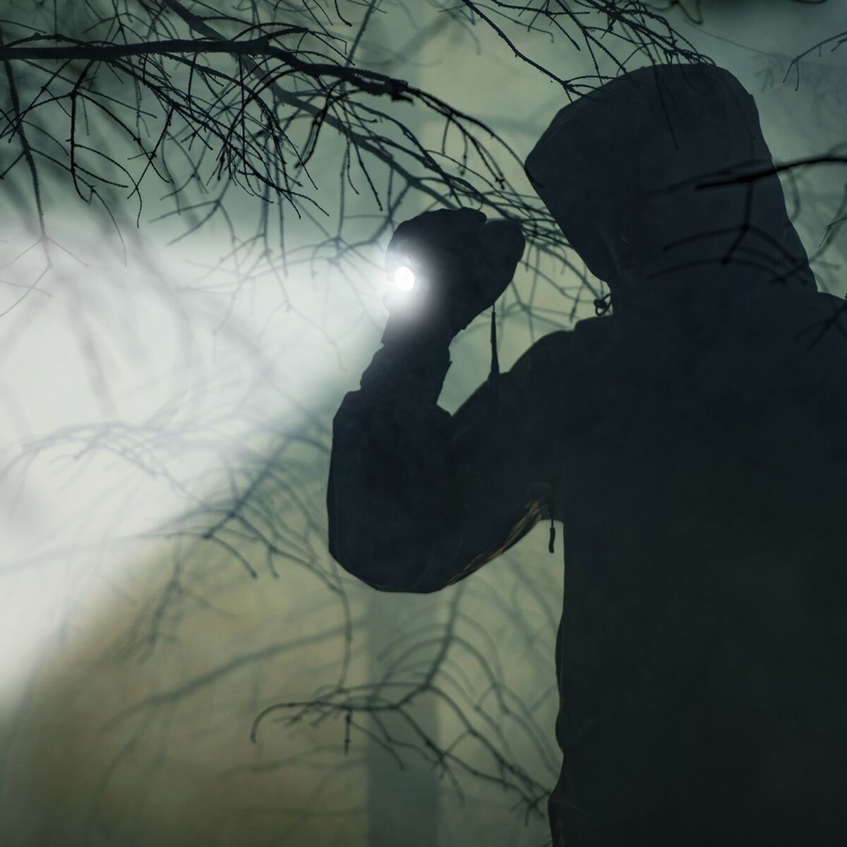 V12H386E8A8954F4F0F81D80C22170329B7CR5365405P3