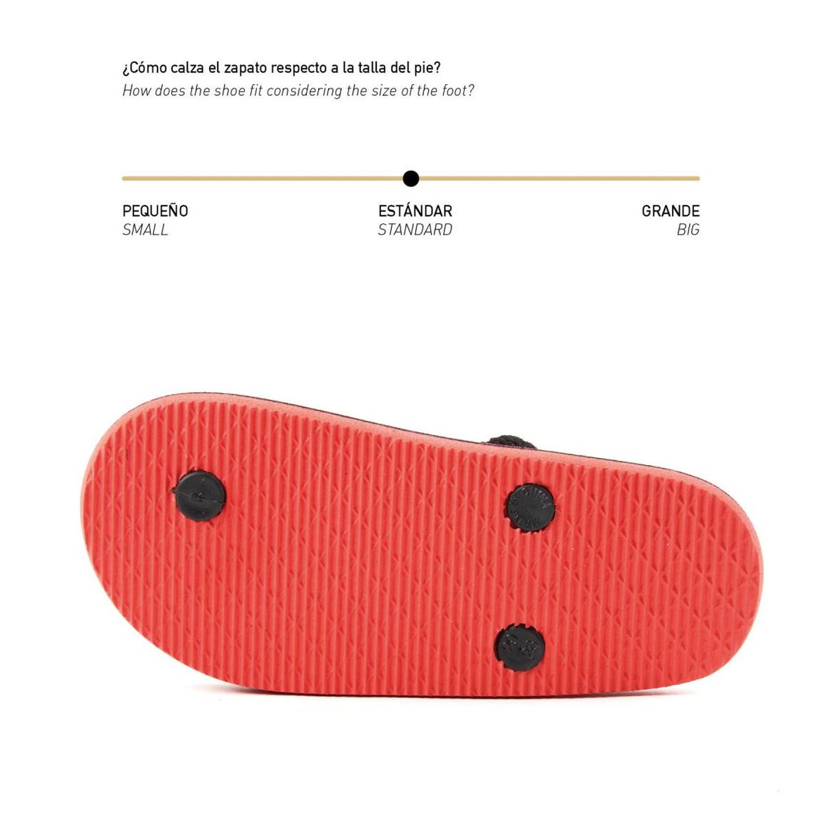 V10H110A3B0E8D7911394205A9CA8B735056R3465799P2