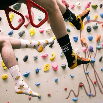 V8H532A4E70E94FD75925977C6FABBD9C17R7038671P2