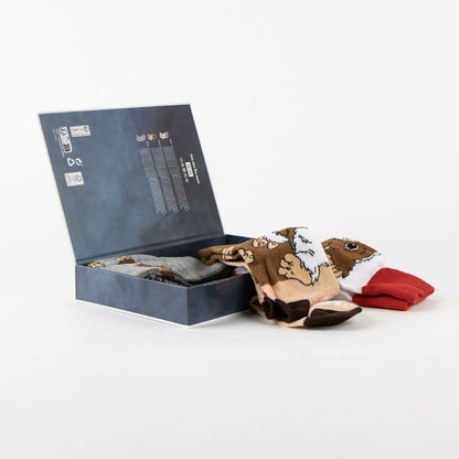 V2H6D687503808AA3513FF83915A62970A1R7170523P6