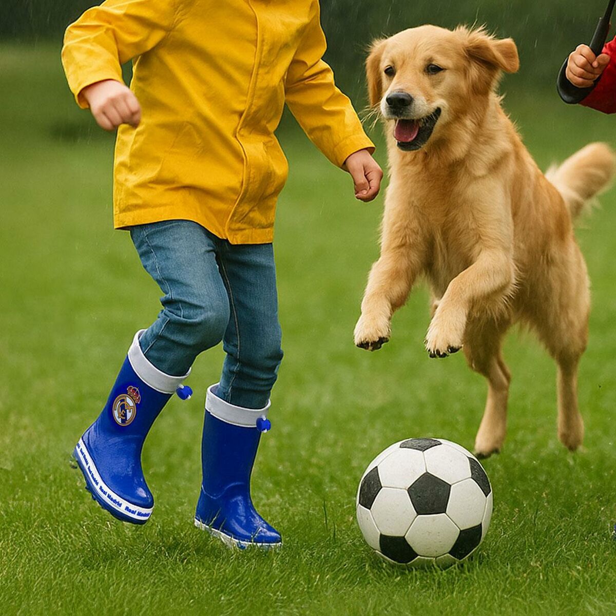 V4H62AE86C8D277FB7570869AE2D082813BR6292447P4